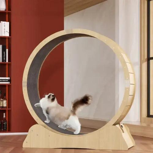 Cat Exercise Wheel - Cat Treadmill