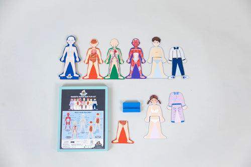 Eduspark Magnetic Human Body Play Set