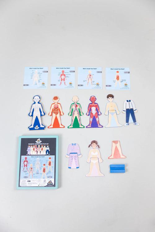 Eduspark Magnetic Human Body Play Set