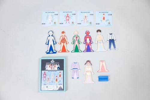 Eduspark Magnetic Human Body Play Set