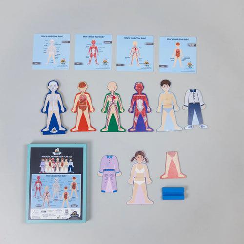 Eduspark Magnetic Human Body Play Set