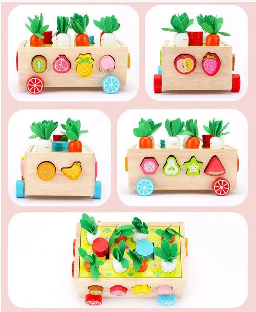 Montessori Multifunction Farm Orchard Intelligence Car