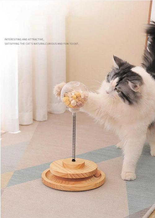 Turntable & Pet Food Dispenser Cat Toy