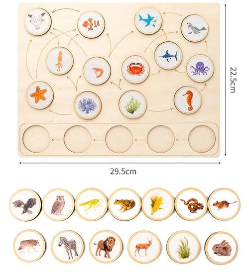 Montessori Animal Ecological Food Chain Cognition Board