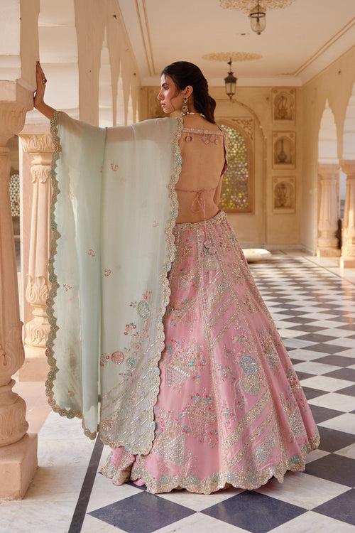 Flamingo Pink Embroidered Lehenga