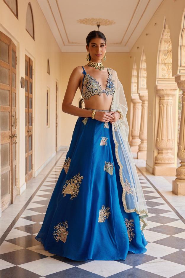 Blueberry Embroidered Lehenga