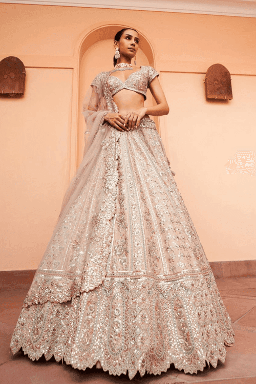 Cashmere Tan Embroidered Lehenga Set