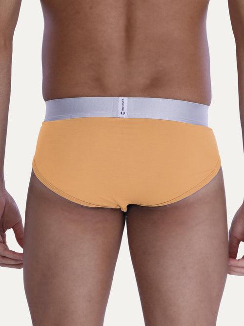 Men's Anti-Bacterial Micro Modal Briefs with Silverfox Waistband (Pack of 5)