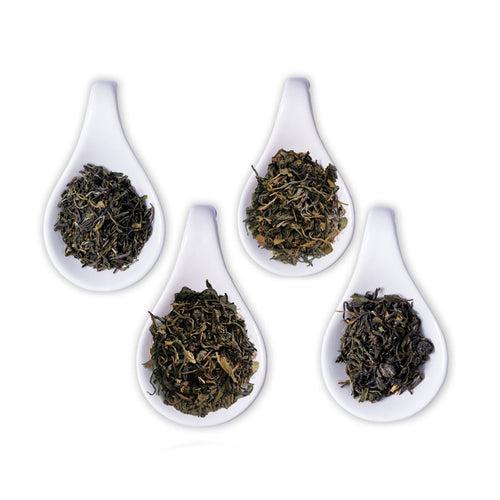 Healthy Green Tea Sampler