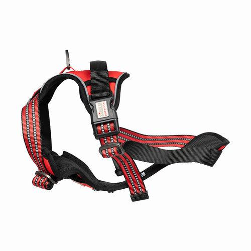 ZL Scarlet Adjustable Padded Dog Harness