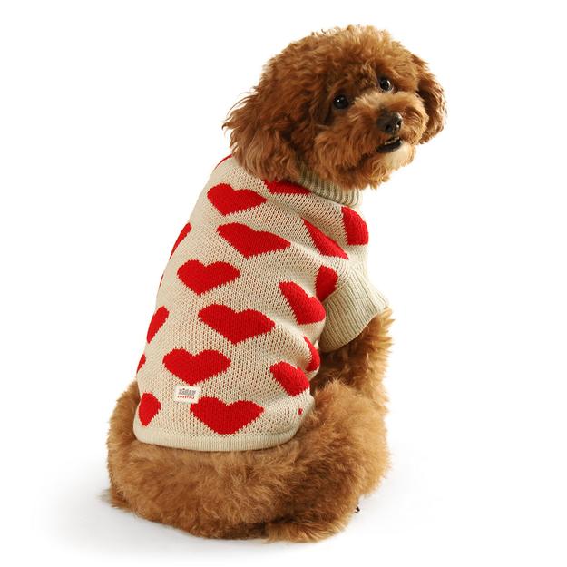 ZL Little Hearts Dog Sweater