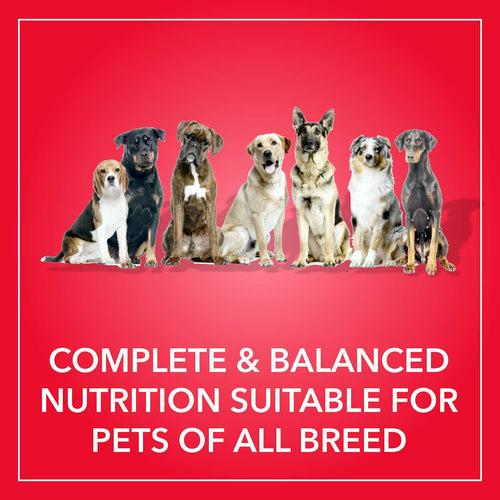 Purepet Dry Dog Food - Chicken and Vegetable - 20 kg