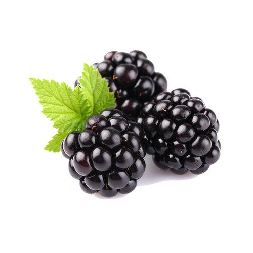 Blackberry Seed Oil