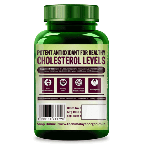 Himalayan Organics Grape Seed Extract 500mg/Serving for Healthy Cholesterol Level - 90 Veg Capsules