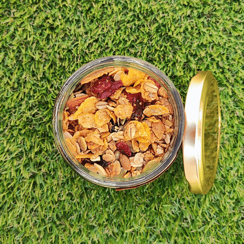 Homemade Premium Dry Fruit Muesli