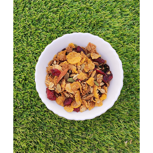 Homemade Premium Dry Fruit Muesli