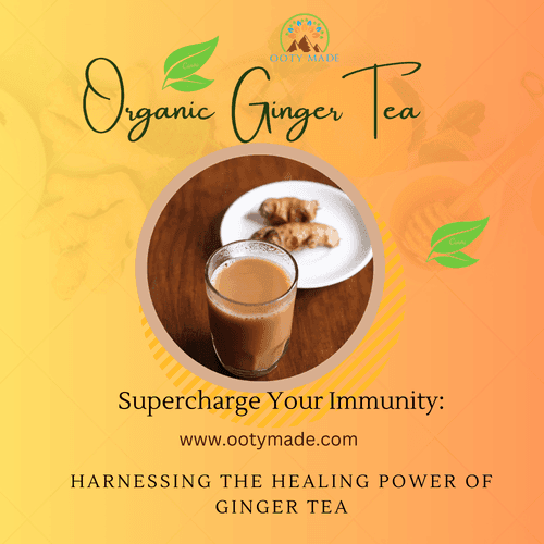 Organic Ginger Chai - Ooty Tea Factory's Finest Blend for Health and Flavor-sukku tea-ginger chai