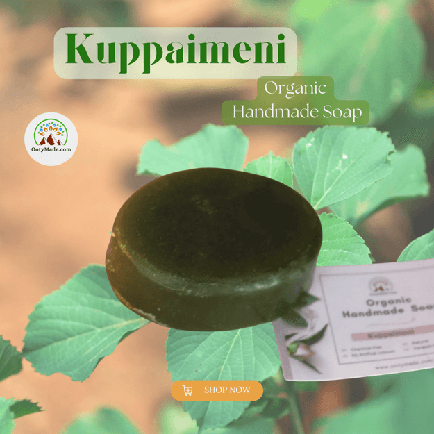 Kuppaimeni Natural Handmade Soap - Pure Organic Bliss for Your Skin