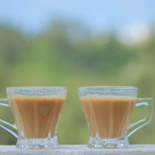Ooty Bliss Tea Powder - Finest Blend for the Best Chai Experience-Regular Tea-Milk Tea