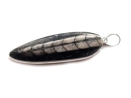 Kuber Stone Black and White Kuber Orthoceras Stone Finance Stone for Success and Reduces Stress Reiki Energy Crystal