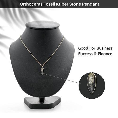 Kuber Stone Black and White Kuber Orthoceras Stone Finance Stone for Success and Reduces Stress Reiki Energy Crystal