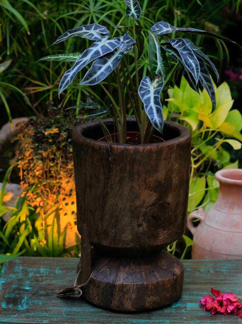 Antique Wooden Pot