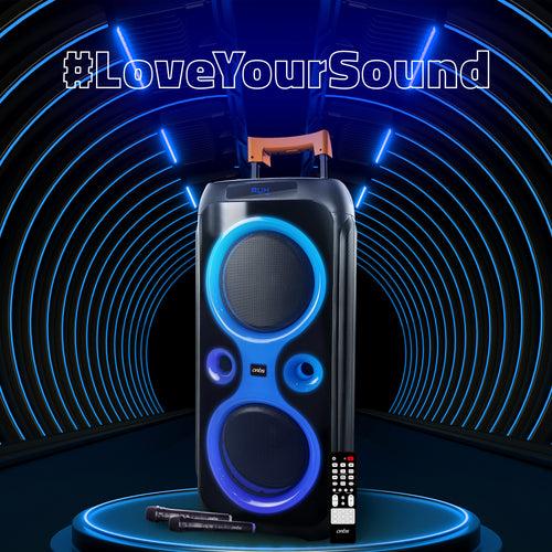 BT916 120W Wireless Bluetooth Party Speaker 