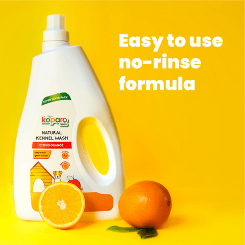 Kennel Wash - Citrus Orange - 1.8 Litres