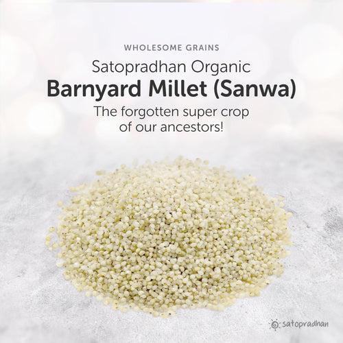 Barnyard Millet - Sanwa 800g - Natural, Organic & Unpolished - Gluten free and Wholesome Grain | Sama or Samak Rice | Fasting Food