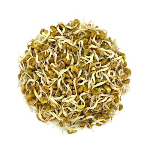 Fenugreek Seeds for Growing Sprouts & Microgreens 200g  - Organic Methi Dana for Kitchen Garden