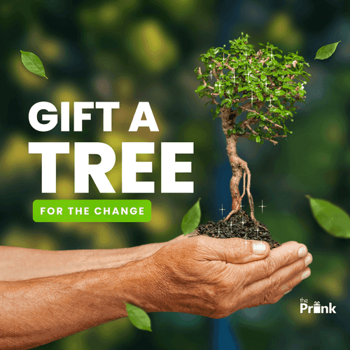 Gift a Tree on Birthday | Gift a Tree on Anniversay