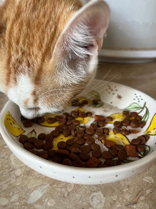 Botanical Ceramic Feeder Bowls - Anti Whisker Fatigue