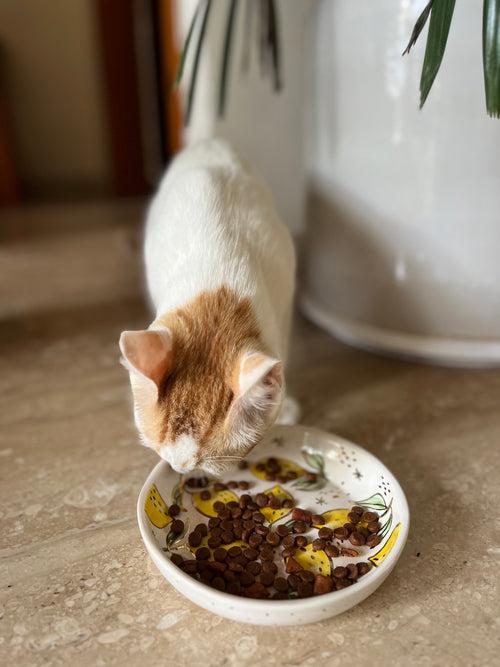 Botanical Ceramic Feeder Bowls - Anti Whisker Fatigue