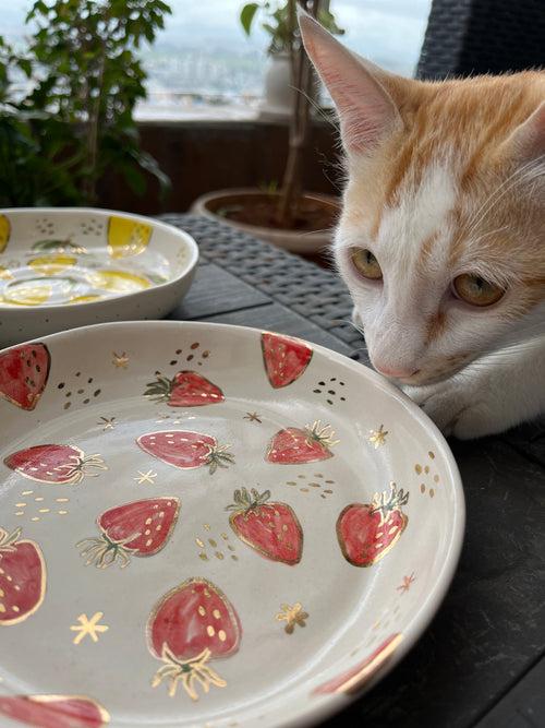 Botanical Ceramic Feeder Bowls - Anti Whisker Fatigue