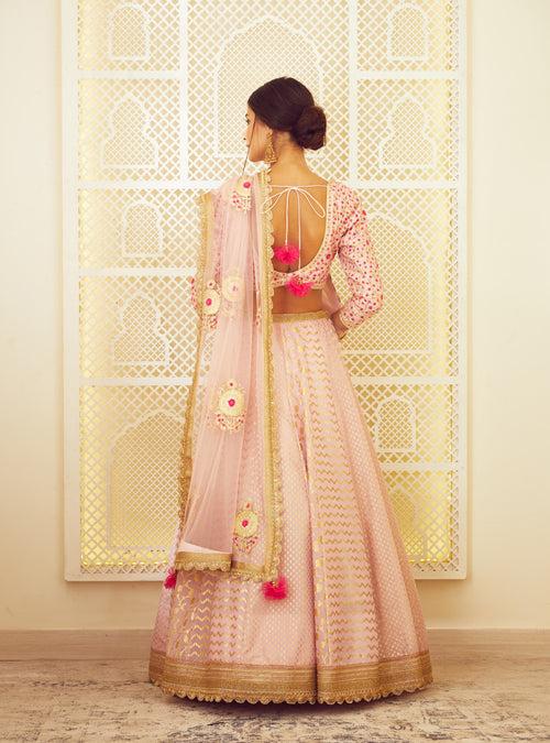 Light Pink Lehenga Set.