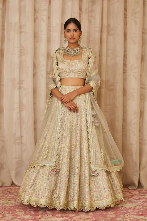 Silver Grey Lehenga Set.