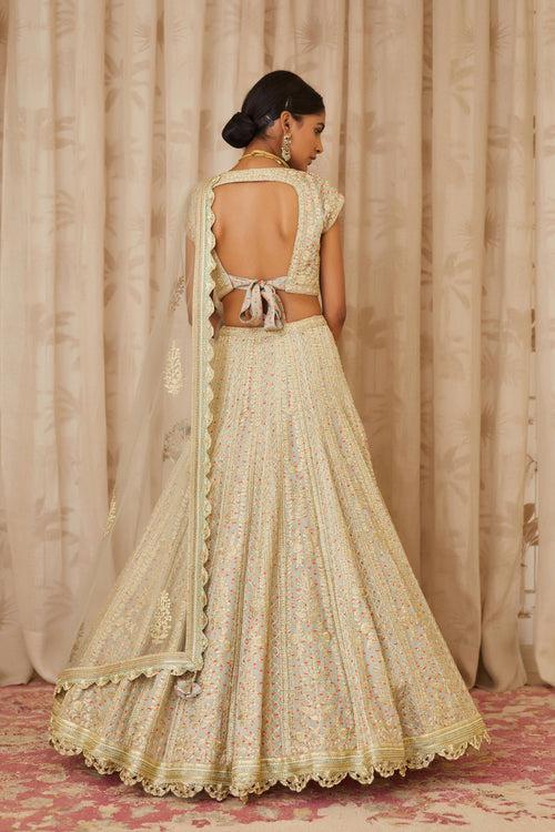 Silver Grey Lehenga Set.