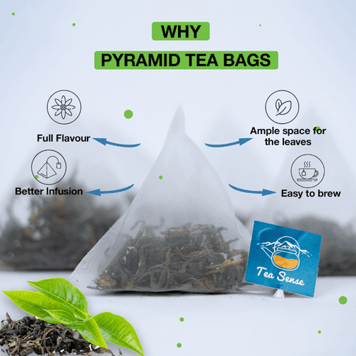 TEA SENSE Classic Green Pyramid Tea Bags (15 Pc)