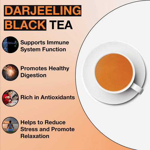 TEA SENSE Darjeeling Black Tea