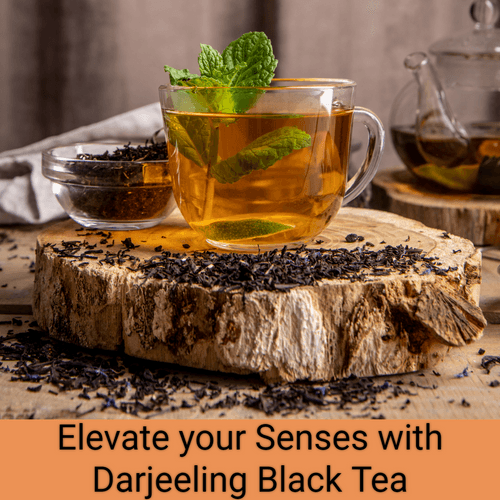 TEA SENSE Darjeeling Black Tea