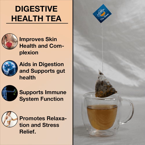 TEA SENSE Digestive Health Pyramid Tea Bags (15 Pc)