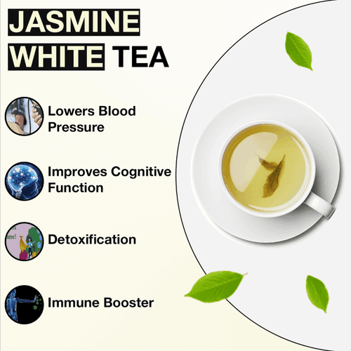 TEA SENSE Jasmine White Tea