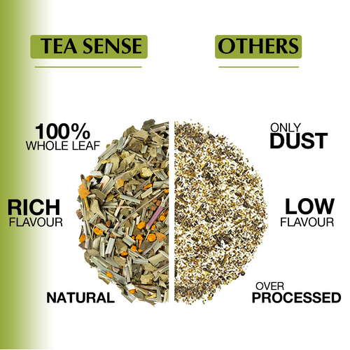 TEA SENSE Lemongrass Moringa Pyramid Tea Bags (15 Pc)