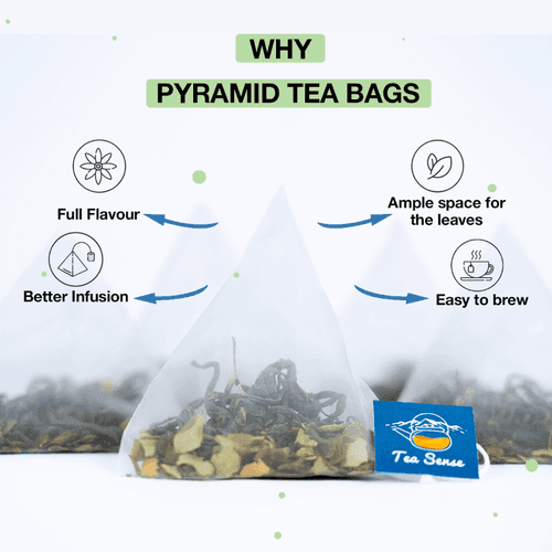 TEA SENSE Moringa Green Pyramid Tea Bags (15 Pc)