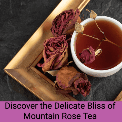 TEA SENSE Mountain Rose Black Tea