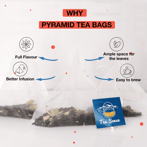 TEA SENSE Royal Masala Chai Pyramid Tea Bags Box (15 Pc)