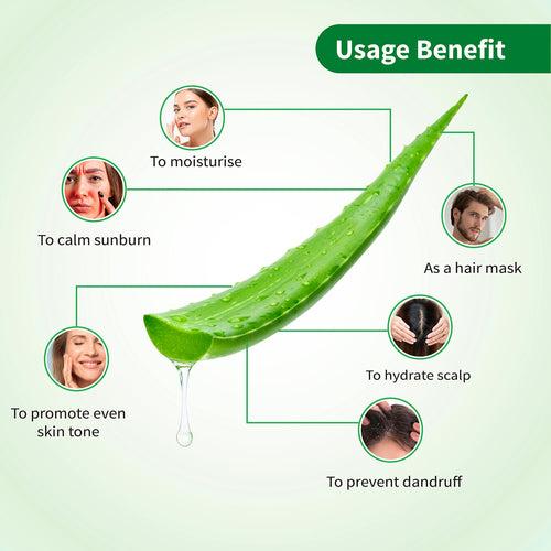 Ayouthveda Aloe Vera Gel for Face, Hair & Body (Net Qty- 150g)