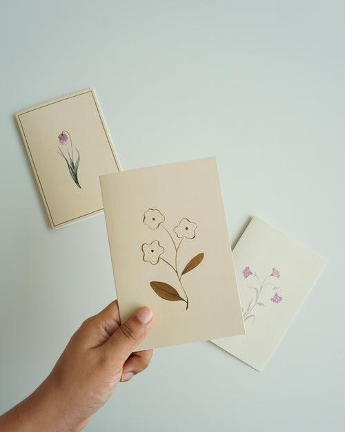 Greeting Cards (Set of 3)