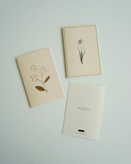 Greeting Cards (Set of 3)