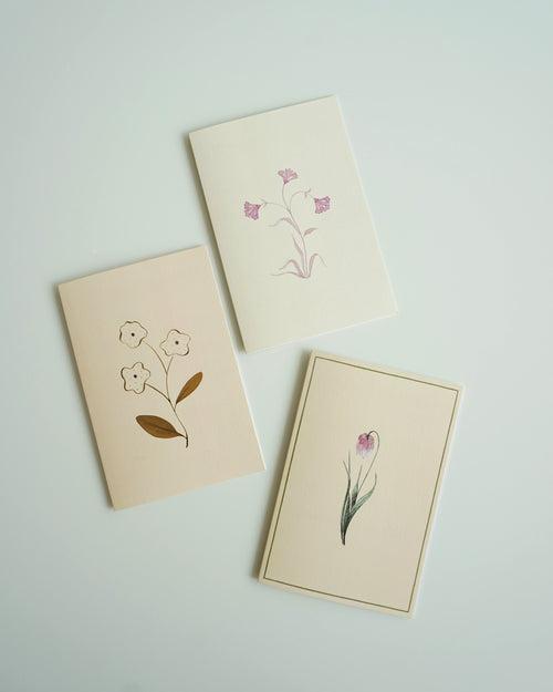 Greeting Cards (Set of 3)